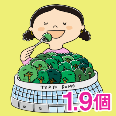 1分間で消える森林面積 東京ドーム1.9個分