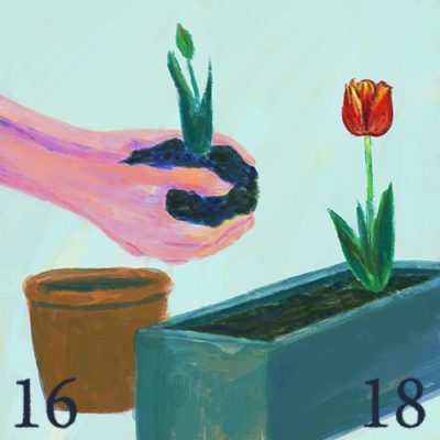 日本の女性の婚姻開始年齢16歳から18歳へ